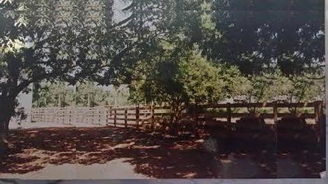 Chácara bougainville em Goiânia GO